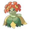 Bellossom