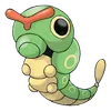 Caterpie