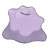 Ditto
