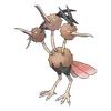 Dodrio