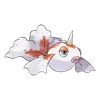 Goldeen