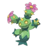 Maractus
