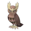 Noctowl