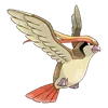 Pidgeot