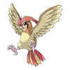Pidgeotto