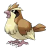 Pidgey