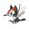 Pikipek