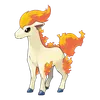 Ponyta