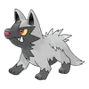 Poochyena