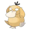 Psyduck
