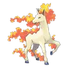 Rapidash