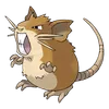 Raticate