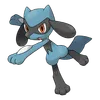 Riolu