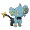 Shinx