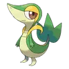 Snivy