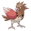 Spearow