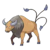 Tauros