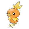 Torchic