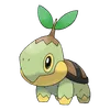 Turtwig
